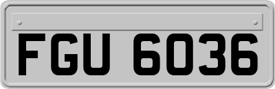 FGU6036