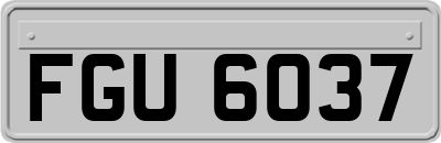 FGU6037