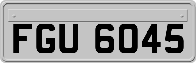 FGU6045