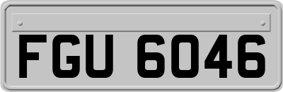 FGU6046