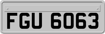 FGU6063
