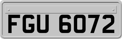 FGU6072
