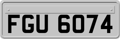 FGU6074
