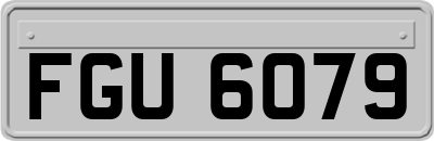 FGU6079