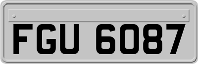 FGU6087