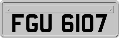 FGU6107