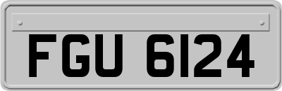 FGU6124