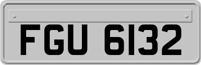 FGU6132