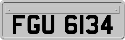 FGU6134