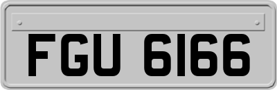 FGU6166
