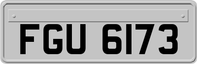 FGU6173