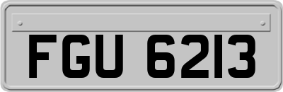 FGU6213