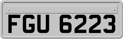 FGU6223