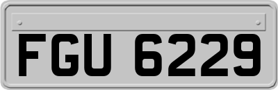 FGU6229
