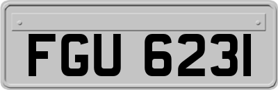 FGU6231