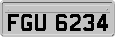 FGU6234