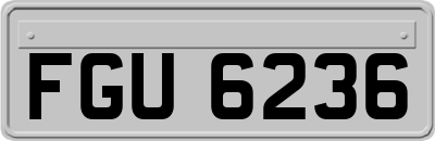 FGU6236