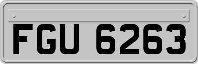 FGU6263