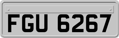 FGU6267