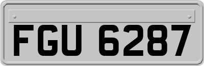 FGU6287