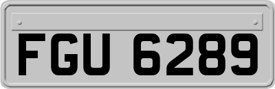 FGU6289