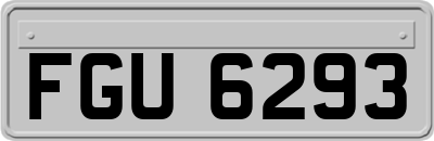 FGU6293