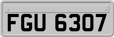 FGU6307
