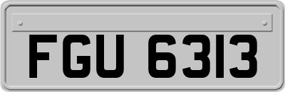 FGU6313