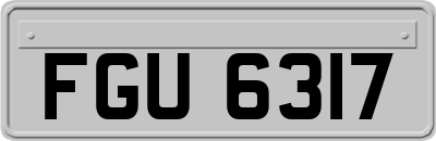 FGU6317