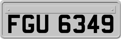 FGU6349