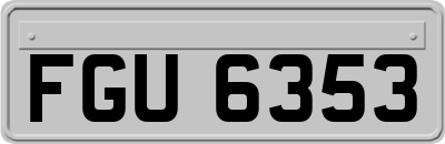 FGU6353
