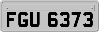 FGU6373
