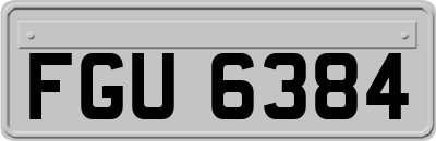 FGU6384