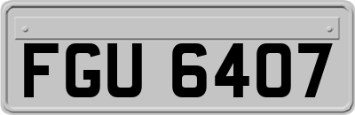 FGU6407