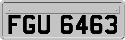 FGU6463