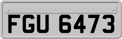 FGU6473