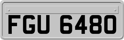 FGU6480
