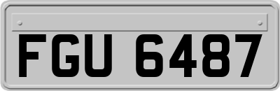 FGU6487