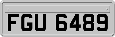 FGU6489