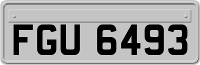 FGU6493