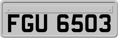 FGU6503