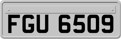 FGU6509
