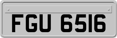 FGU6516