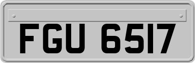 FGU6517