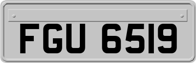 FGU6519