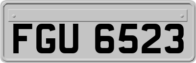 FGU6523