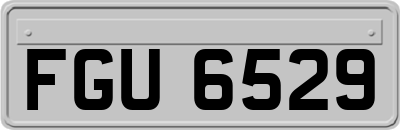 FGU6529