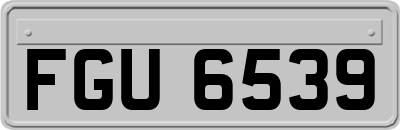 FGU6539