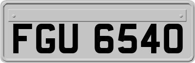 FGU6540