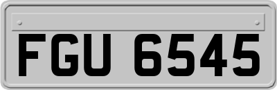 FGU6545